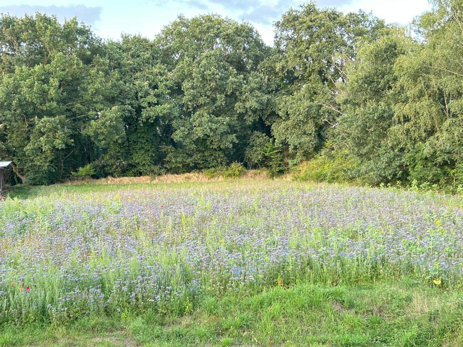 Xantener Ferienhaus Heeser Weg エクステリア 写真